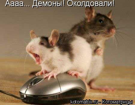 Аааа... Демоны! Околдовали!... Котоматрица: Аааа... Демоны! Околдовали!