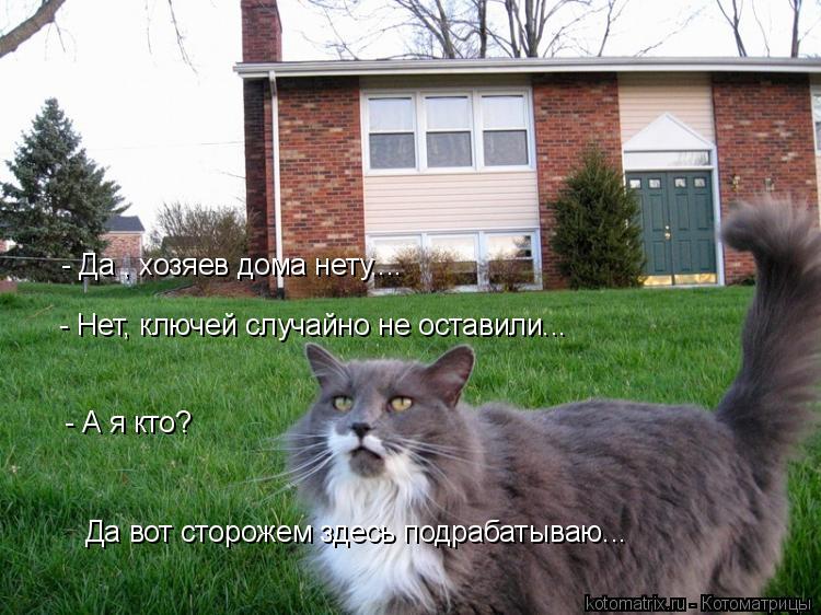 - А я кто? - Нет, ключей случайно не оставили... - Да , хозяев дома нету.... Да вот сторожем здесь по... Котоматрица: - А я кто? - Нет, ключей случайно не оставили... - Да , хозяев дома нету.... Да вот сторожем здесь подрабатываю...