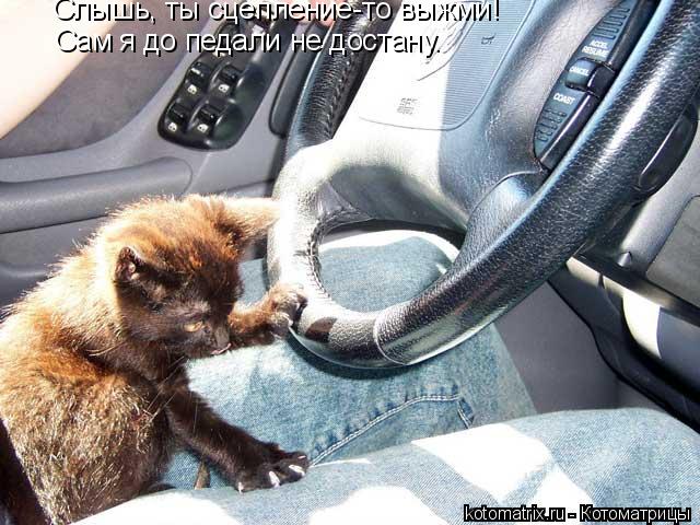 Слышь, ты сцепление-то выжми! Сам я до педали не достану.... Котоматрица: Слышь, ты сцепление-то выжми! Сам я до педали не достану.