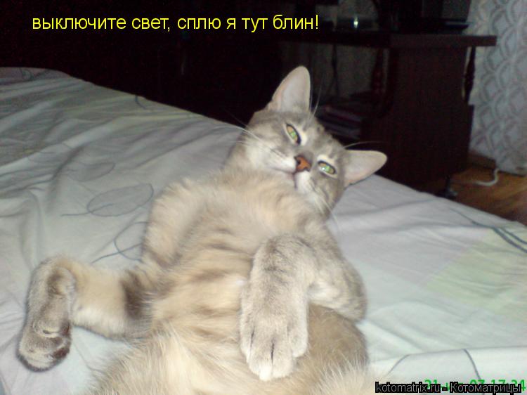 выключите свет, сплю я тут блин!... Котоматрица: выключите свет, сплю я тут блин!