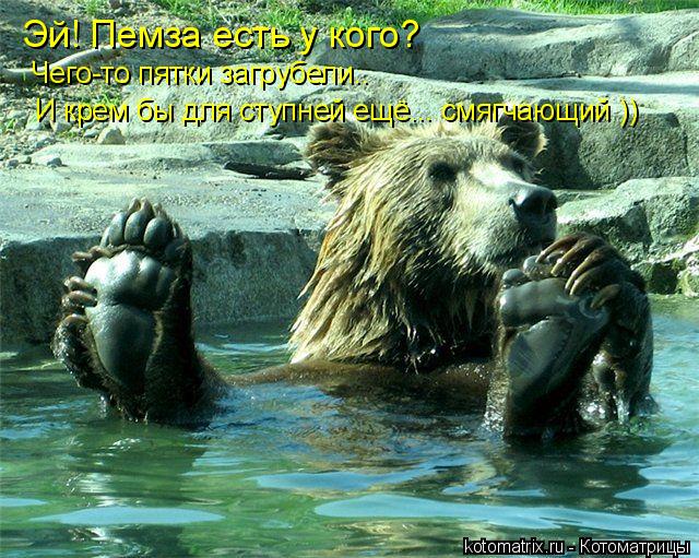 Эй! Пемза есть у кого? Чего-то пятки загрубели.. И крем бы для ступней ещё... смягчающий ))... Котоматрица: Эй! Пемза есть у кого? Чего-то пятки загрубели.. И крем бы для ступней ещё... смягчающий ))