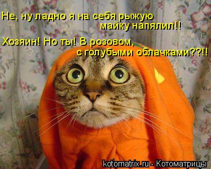 Не, ну ладно я на себя рыжую майку напялил!! Хозяин! Но ты! В розовом, с голубыми облачками??!!... Котоматрица: Не, ну ладно я на себя рыжую майку напялил!! Хозяин! Но ты! В розовом, с голубыми облачками??!!