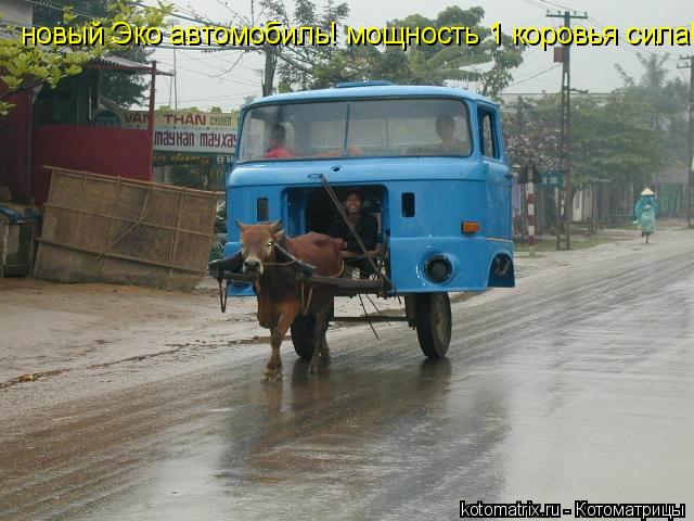 Котоматрица: новый Эко автомобиль! мощность 1 коровья сила!