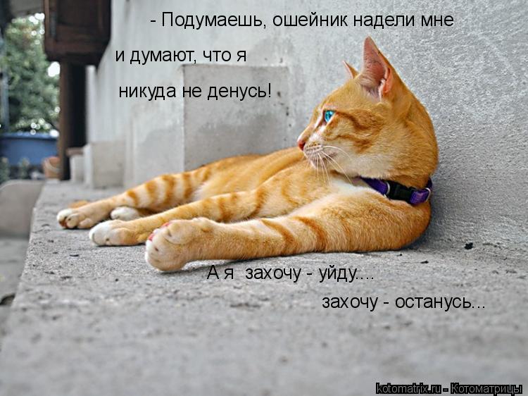- Подумаешь, ошейник надели мне и думают, что я А я захочу - уйду.... захочу - останусь... никуда не... Котоматрица: - Подумаешь, ошейник надели мне и думают, что я А я захочу - уйду.... захочу - останусь... никуда не денусь!