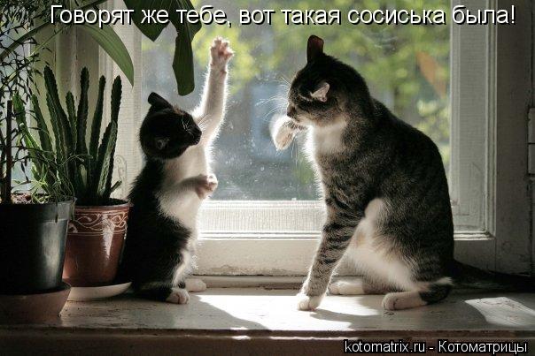 Говорят же тебе, вот такая сосиська была!... Котоматрица: Говорят же тебе, вот такая сосиська была!