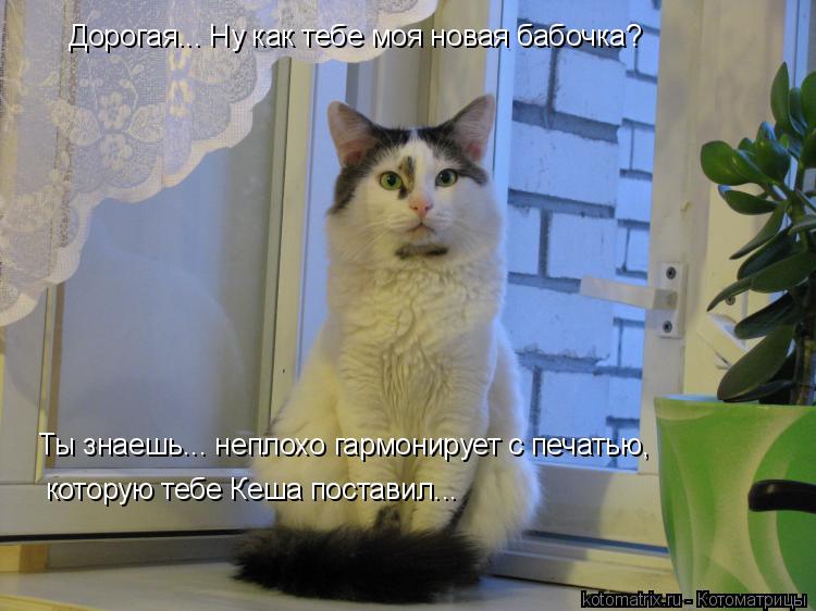 Дорогая... Ну как тебе моя новая бабочка? Ты знаешь... неплохо гармонирует с печатью, которую тебе К... Котоматрица: Дорогая... Ну как тебе моя новая бабочка? Ты знаешь... неплохо гармонирует с печатью, которую тебе Кеша поставил...