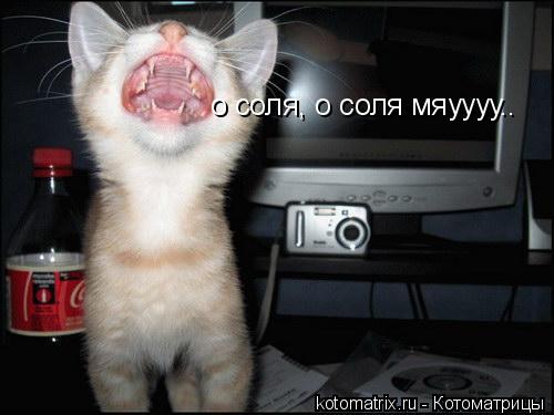 о соля, о соля мяуууу..... Котоматрица: о соля, о соля мяуууу..