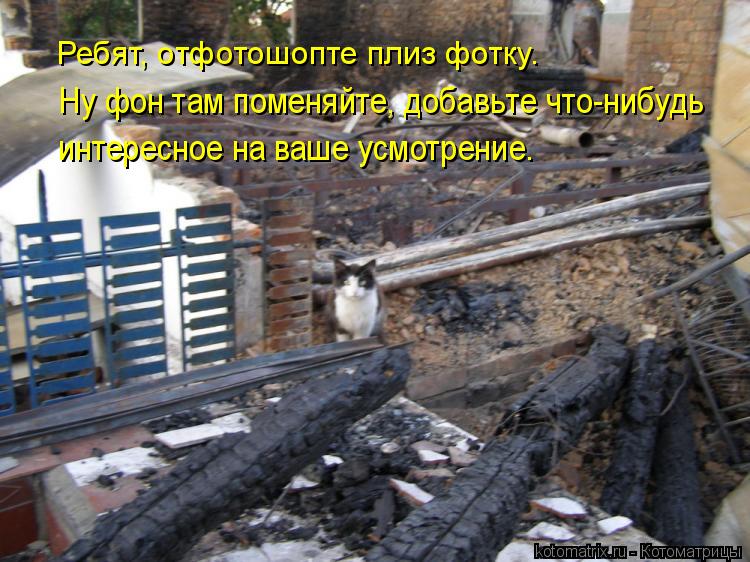Ребят, отфотошопте плиз фотку. Ну фон там поменяйте, добавьте что-нибудь интересное на ваше усмотрени... Котоматрица: Ребят, отфотошопте плиз фотку. Ну фон там поменяйте, добавьте что-нибудь интересное на ваше усмотрение.