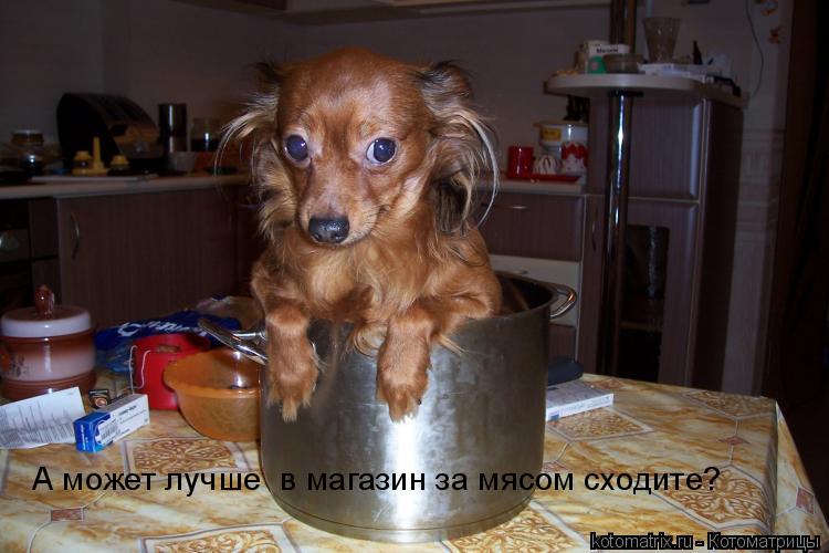 А может лучше в магазин за мясом сходите?... Котоматрица: А может лучше в магазин за мясом сходите?
