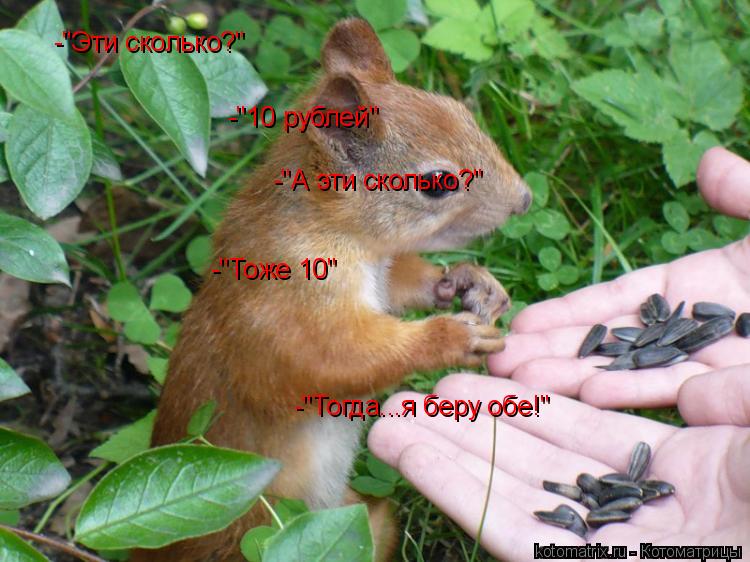 -"Эти сколько?" -"10 рублей" -"А эти сколько?" -"Тоже 10" -"Тогда...я беру обе!"... Котоматрица: -"Эти сколько?" -"10 рублей" -"А эти сколько?" -"Тоже 10" -"Тогда...я беру обе!"