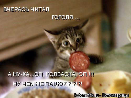 ВЧЕРАСЬ ЧИТАЛ ГОГОЛЯ ... А НУ-КА...ОП, КОЛБАСКА, ОП !!! НУ ЧЕМ НЕ ПАЦЮК ?!?!?!... Котоматрица: ВЧЕРАСЬ ЧИТАЛ ГОГОЛЯ ... А НУ-КА...ОП, КОЛБАСКА, ОП !!! НУ ЧЕМ НЕ ПАЦЮК ?!?!?!