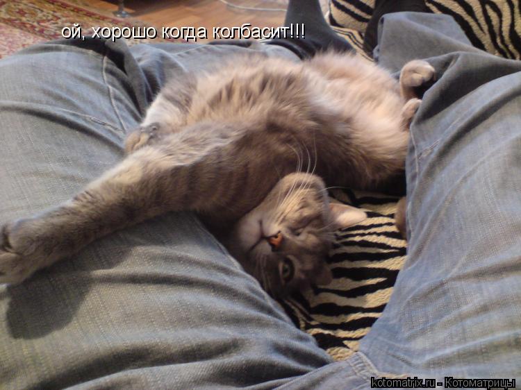 ой, хорошо когда колбасит!!!... Котоматрица: ой, хорошо когда колбасит!!!