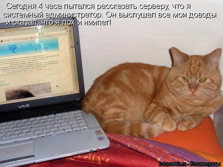 Сегодня 4 часа пытался рассказать серверу, что я системный администратор. Он выслушал все мои доводы ... Котоматрица: Сегодня 4 часа пытался рассказать серверу, что я системный администратор. Он выслушал все мои доводы и сказал, что я лох и ниипет!