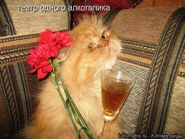 театр одного алкоголика... Котоматрица: театр одного алкоголика