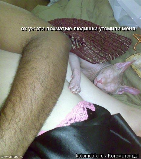 ох уж эти лохматые людишки утомили меня... Котоматрица: ох уж эти лохматые людишки утомили меня