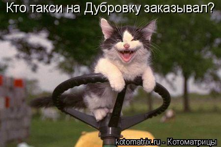 Кто такси на Дубровку заказывал?... Котоматрица: Кто такси на Дубровку заказывал?