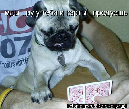 мды...ну у тебя и карты...продуешь...... Котоматрица: мды...ну у тебя и карты...продуешь...