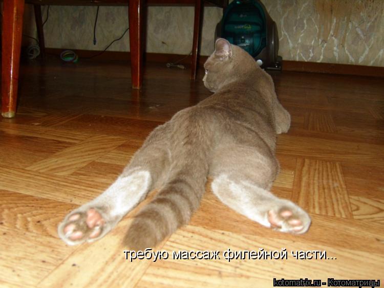 требую массаж филейной части...... Котоматрица: требую массаж филейной части...
