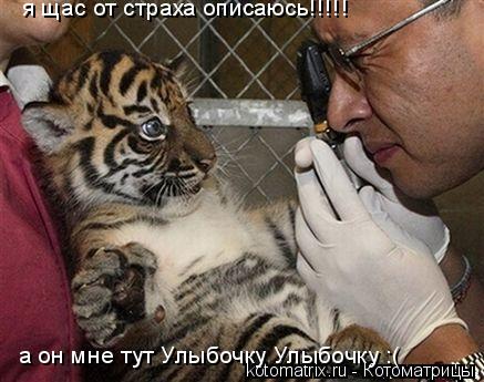 я щас от страха описаюсь!!!!! а он мне тут Улыбочку Улыбочку :(... Котоматрица: я щас от страха описаюсь!!!!! а он мне тут Улыбочку Улыбочку :(