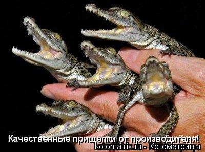 Качественные прищепки от производителя!... Котоматрица: Качественные прищепки от производителя!
