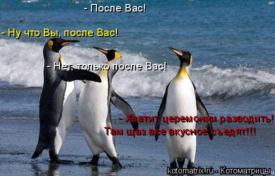 - После Вас! - Ну что Вы, после Вас! - Нет, только после Вас! - Хватит церемонии разводить! Там щаз в... Котоматрица: - После Вас! - Ну что Вы, после Вас! - Нет, только после Вас! - Хватит церемонии разводить! Там щаз все вкусное съедят!!!