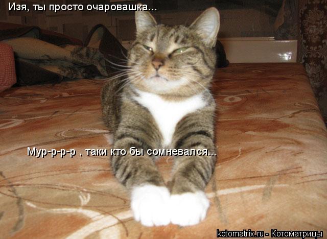 Изя, ты просто очаровашка... Мур-р-р-р , таки кто бы сомневался...... Котоматрица: Изя, ты просто очаровашка... Мур-р-р-р , таки кто бы сомневался...