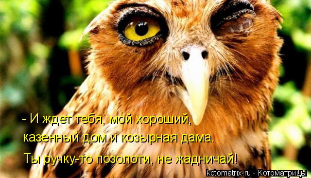 - И ждет тебя, мой хороший, казенный дом и козырная дама. Ты ручку-то позолоти, не жадничай!... Котоматрица: - И ждет тебя, мой хороший, казенный дом и козырная дама. Ты ручку-то позолоти, не жадничай!