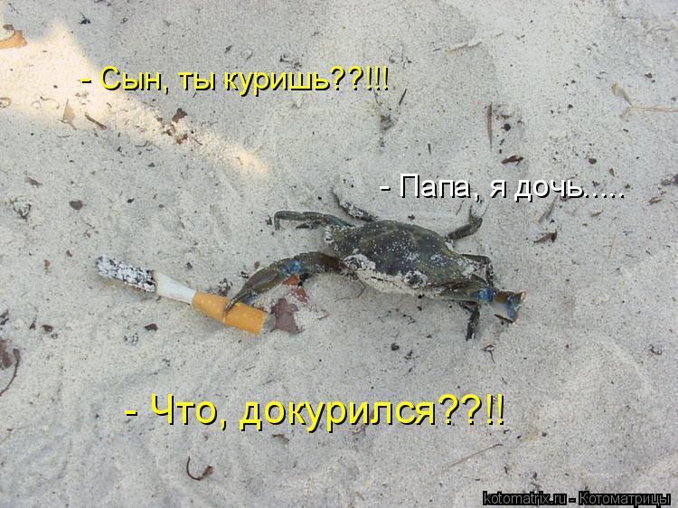 - Сын, ты куришь??!!! - Папа, я дочь..... - Что, докурился??!!... Котоматрица: - Сын, ты куришь??!!! - Папа, я дочь..... - Что, докурился??!!