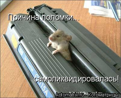 Причина поломки... самоликвидировалась!... Котоматрица: Причина поломки... самоликвидировалась!