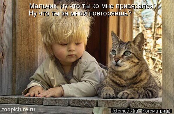 Котоматрица: Мальчик, ну что ты ко мне привязался? Ну что ты за мной повторяешь?