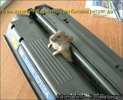 а вы думали это принтер сам буковки рисует, да?... Котоматрица: а вы думали это принтер сам буковки рисует, да?