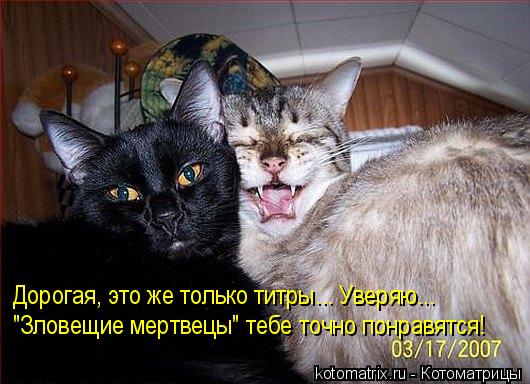 Дорогая, это же только титры... Уверяю... "Зловещие мертвецы" тебе точно понравятся!... Котоматрица: Дорогая, это же только титры... Уверяю... "Зловещие мертвецы" тебе точно понравятся!