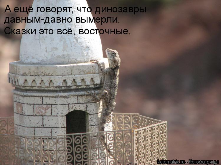 А ещё говорят, что динозавры давным-давно вымерли. Сказки это всё, восточные.... Котоматрица: А ещё говорят, что динозавры давным-давно вымерли. Сказки это всё, восточные.