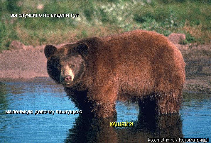 вы случайно не видели тут маленькую девочку пахнущюю КАШЕЙ?!... Котоматрица: вы случайно не видели тут маленькую девочку пахнущюю КАШЕЙ?!