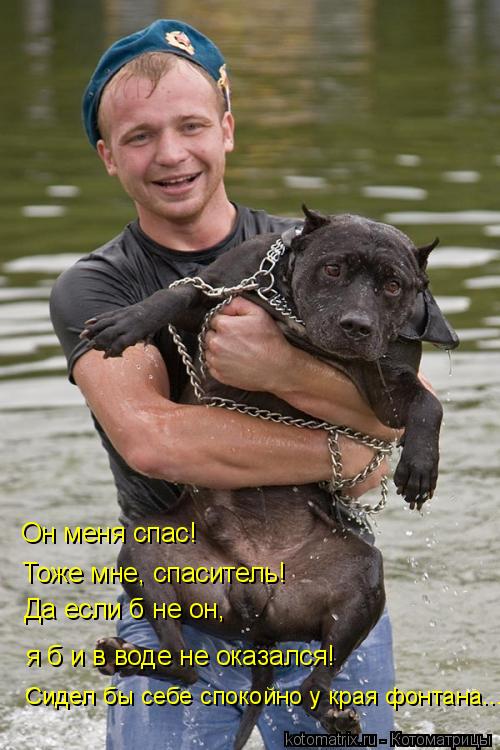 Он меня спас! Тоже мне, спаситель! я б и в воде не оказался! Да если б не он, Сидел бы себе спокойно ... Котоматрица: Он меня спас! Тоже мне, спаситель! я б и в воде не оказался! Да если б не он, Сидел бы себе спокойно у края фонтана...