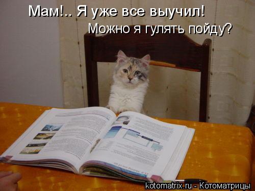Мам!.. Я уже все выучил! Можно я гулять пойду?... Котоматрица: Мам!.. Я уже все выучил! Можно я гулять пойду?