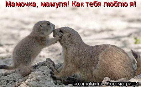 Мамочка, мамуля! Как тебя люблю я!... Котоматрица: Мамочка, мамуля! Как тебя люблю я!