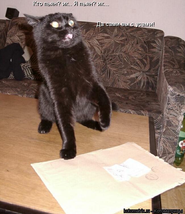 Кто пьян? ик.. Я пьян? ик... Да сами вы с усами!... Котоматрица: Кто пьян? ик.. Я пьян? ик... Да сами вы с усами!
