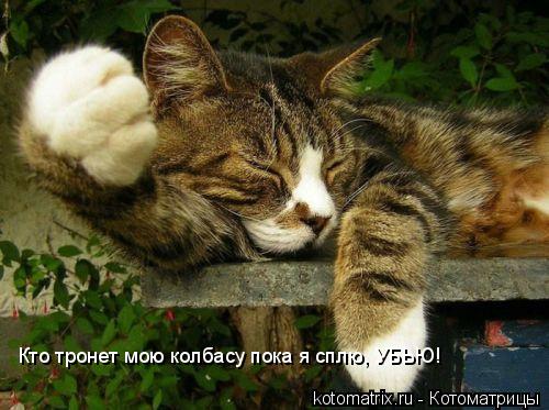 Кто тронет мою колбасу пока я сплю, УБЬЮ!... Котоматрица: Кто тронет мою колбасу пока я сплю, УБЬЮ!