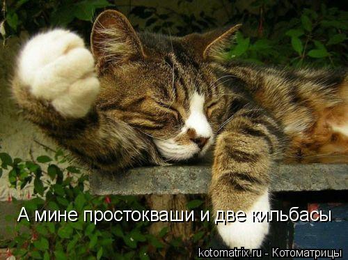 А мине простокваши и две кильбасы... Котоматрица: А мине простокваши и две кильбасы