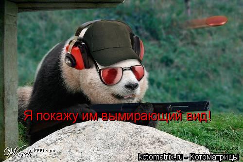 Я покажу им вымирающий вид!... Котоматрица: Я покажу им вымирающий вид!
