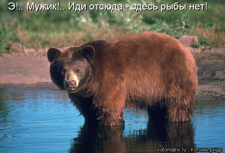 Э!.. Мужик!.. Иди отсюда - здесь рыбы нет!... Котоматрица: Э!.. Мужик!.. Иди отсюда - здесь рыбы нет!