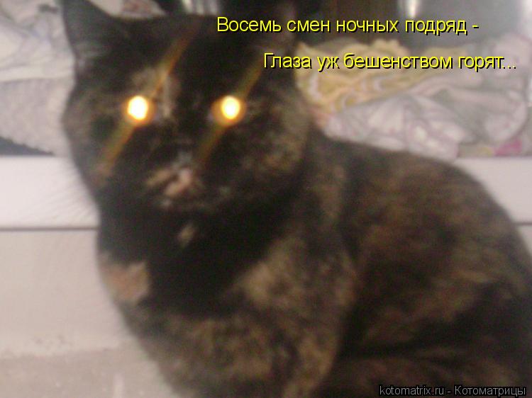 Восемь смен ночных подряд - Глаза уж бешенством горят...... Котоматрица: Восемь смен ночных подряд - Глаза уж бешенством горят...