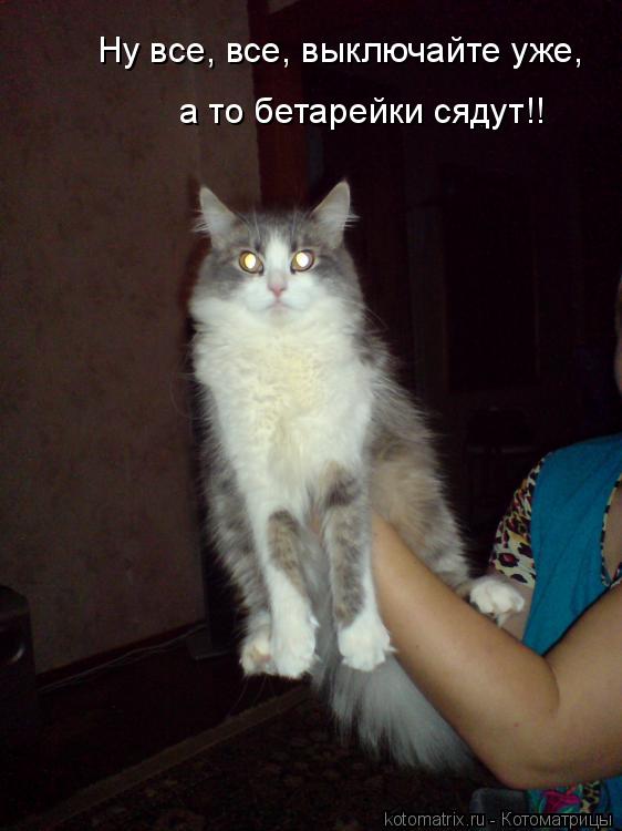 Ну все, все, выключайте уже, а то бетарейки сядут!!... Котоматрица: Ну все, все, выключайте уже, а то бетарейки сядут!!