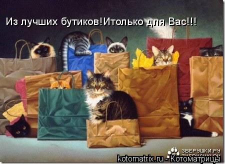 Из лучших бутиков!Итолько для Вас!!!... Котоматрица: Из лучших бутиков!Итолько для Вас!!!