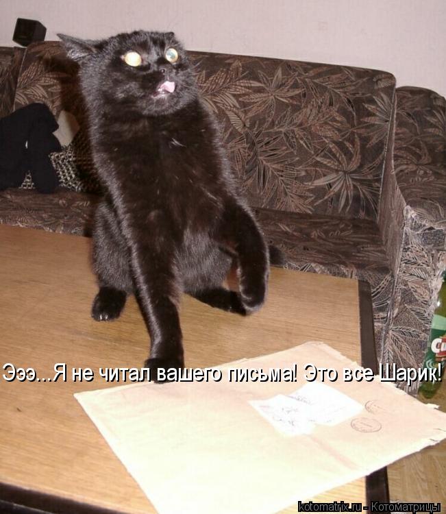 Эээ...Я не читал вашего письма! Это все Шарик!... Котоматрица: Эээ...Я не читал вашего письма! Это все Шарик!