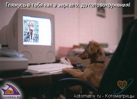 Гляжусь в тебя как в зеркало, до головокружения!... Котоматрица: Гляжусь в тебя как в зеркало, до головокружения!