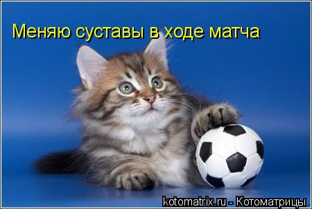 Меняю суставы в ходе матча... Котоматрица: Меняю суставы в ходе матча