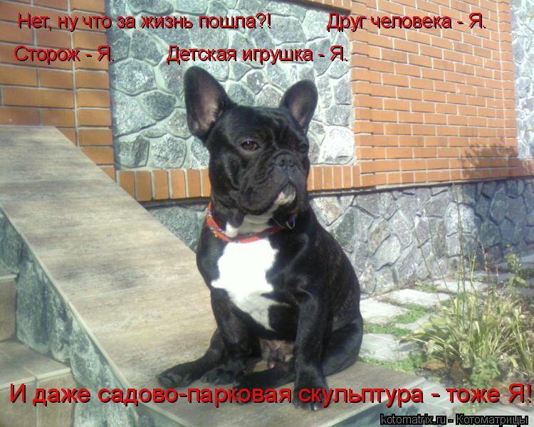 И даже садово-парковая скульптура - тоже Я! Сторож - Я. Детская игрушка - Я. Нет, ну что за жизнь пош... Котоматрица: И даже садово-парковая скульптура - тоже Я! Сторож - Я. Детская игрушка - Я. Нет, ну что за жизнь пошла?! Друг человека - Я.