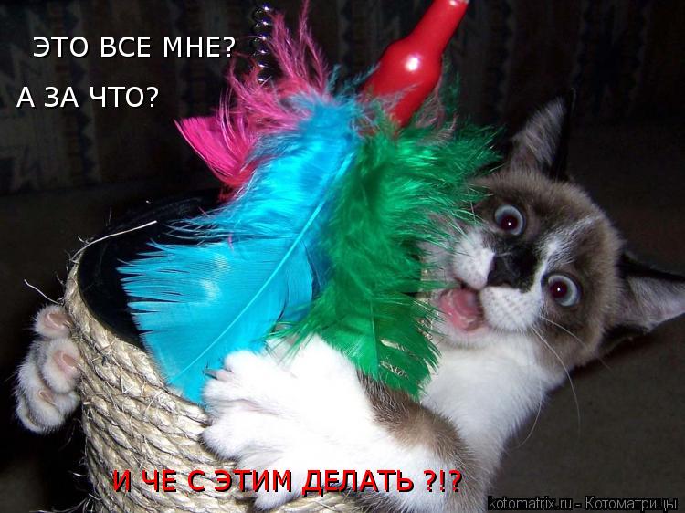 ЭТО ВСЕ МНЕ? А ЗА ЧТО? И ЧЕ С ЭТИМ ДЕЛАТЬ ?!?... Котоматрица: ЭТО ВСЕ МНЕ? А ЗА ЧТО? И ЧЕ С ЭТИМ ДЕЛАТЬ ?!?